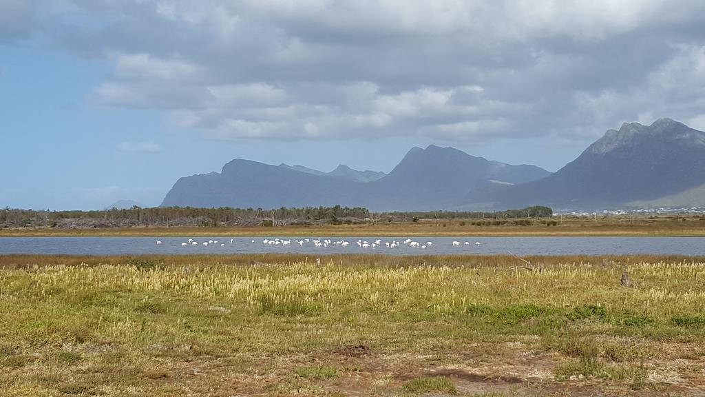 La Mer Seafront Selfcatering Accommodation Kleinmond Exterior foto